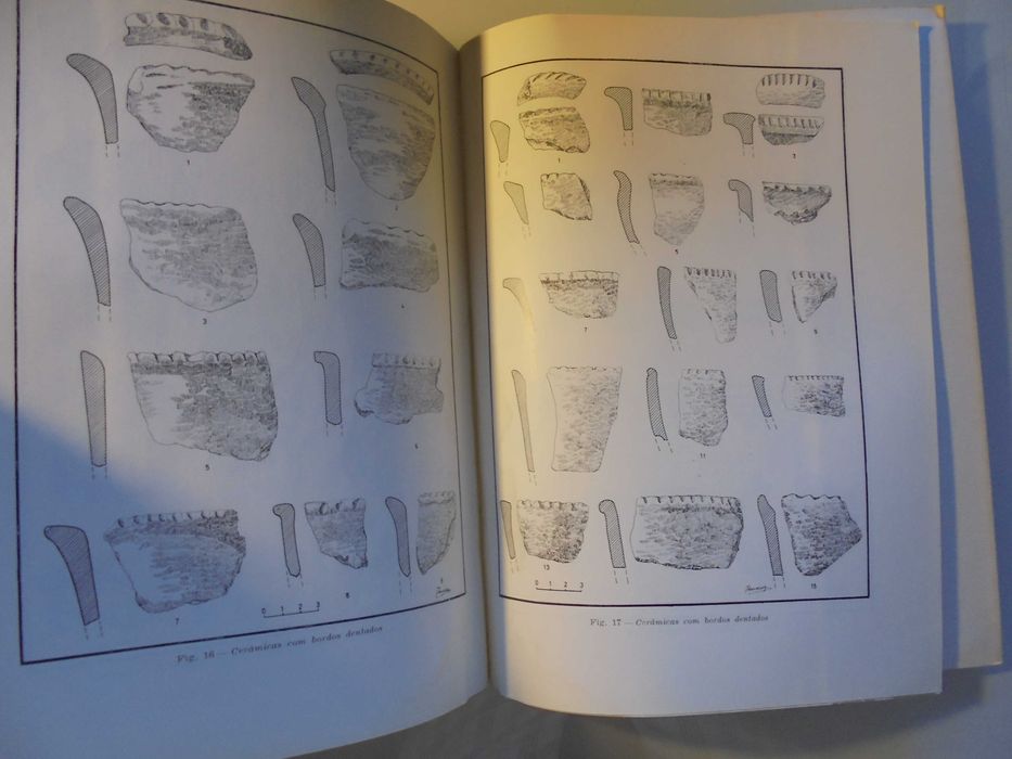 Parede-Paço (Afonso do);Povoado Pré Histórico