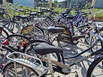 Pakiet rowerów Holenderskich damskie męskie młodzieżowe 20 szt.