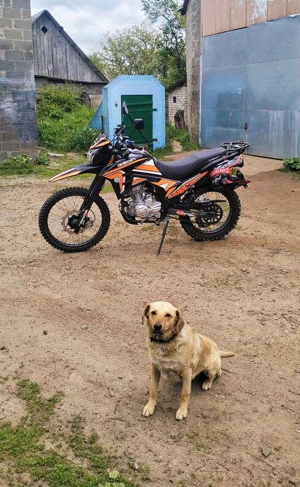 Geon X-Line 250 (Торг присутній) (Обмін теж роздивляється))