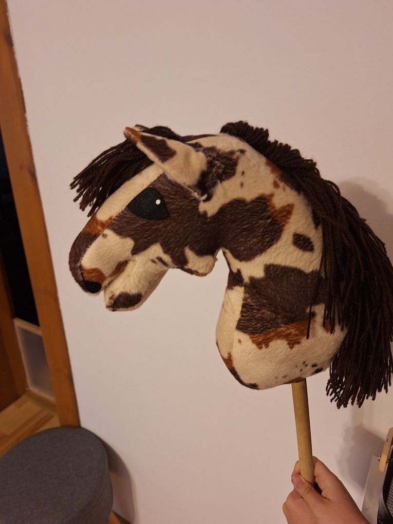 Hobby horse łaciaty