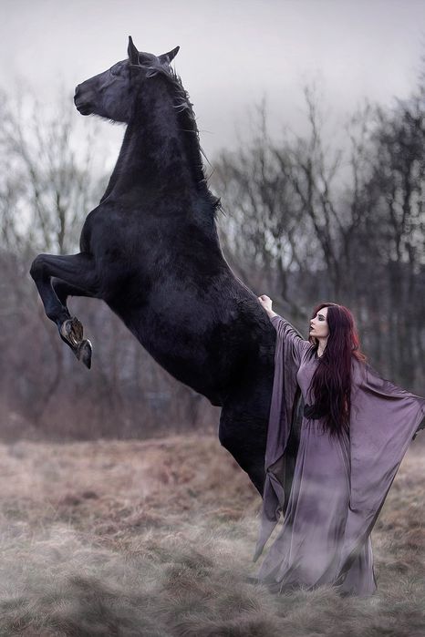 Sesja zdjęciowa z koniem. Koń do zdjęć, wynajem. Fotografia koni