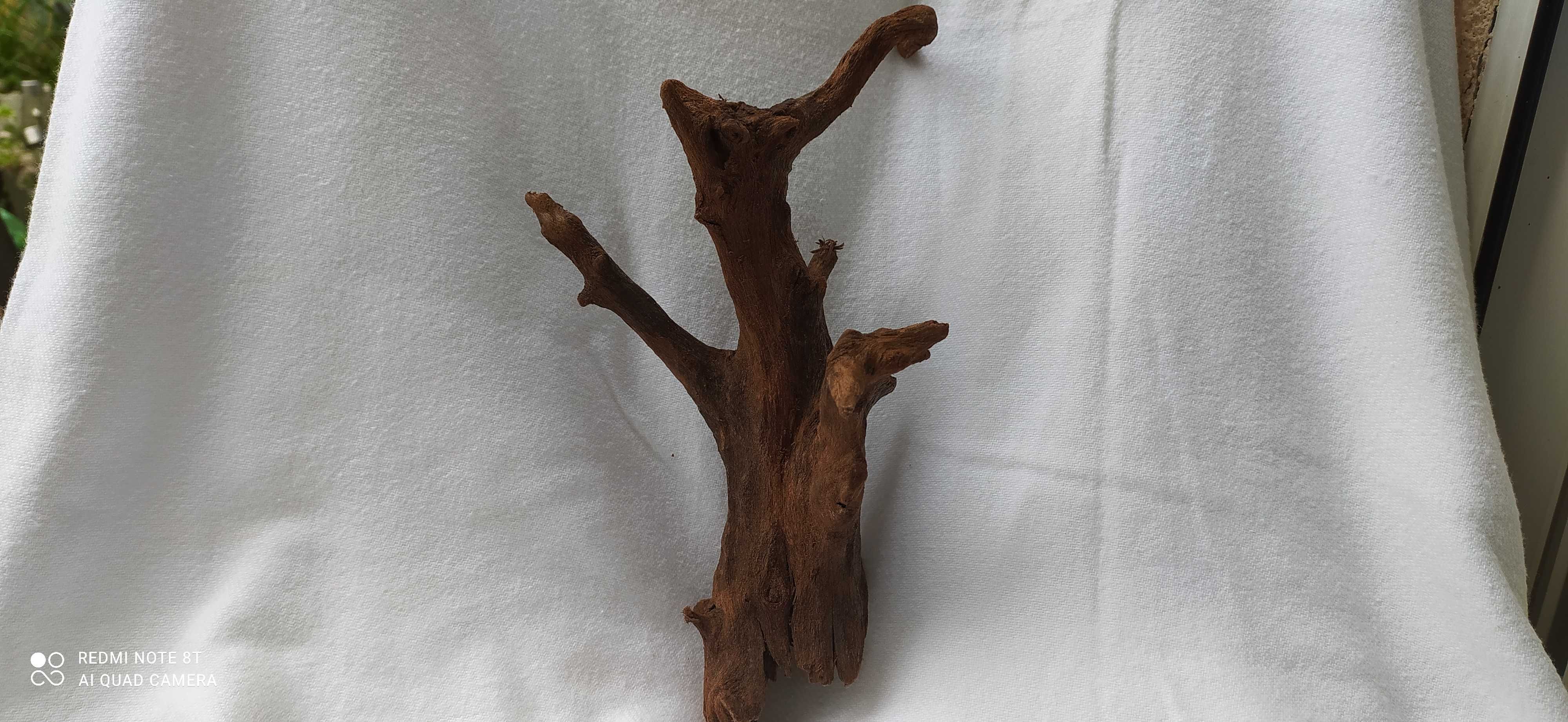 Korzeń do akwarium-24 cm