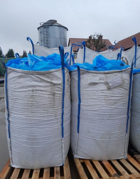 Kukurydza gnieciona CCM kiszonki