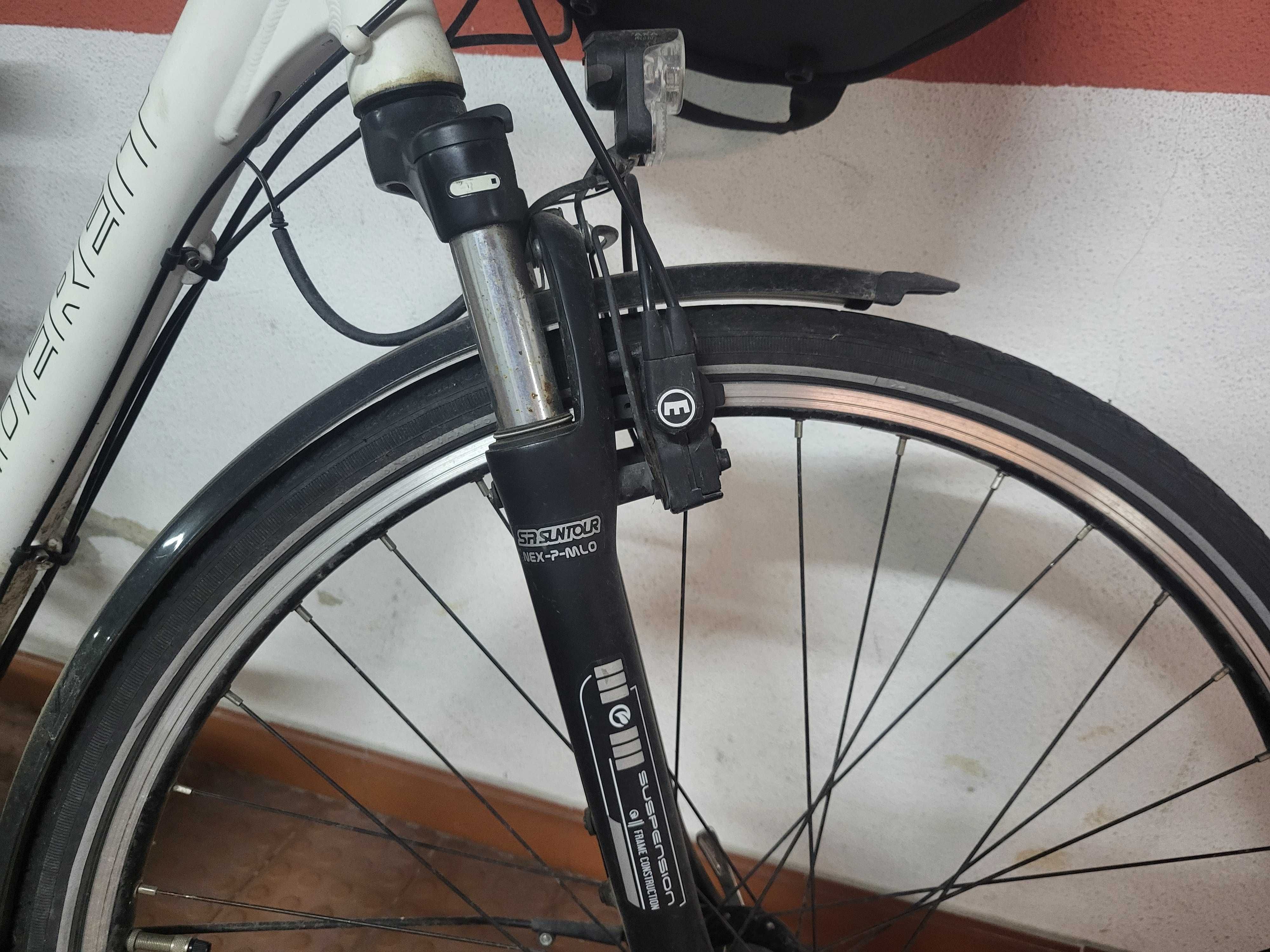 Bicicleta de senhora Guibert