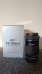 Canon EF-S 55-250mm f/4-5.6 IS STM
Em excelente estado. 

Estabilizado