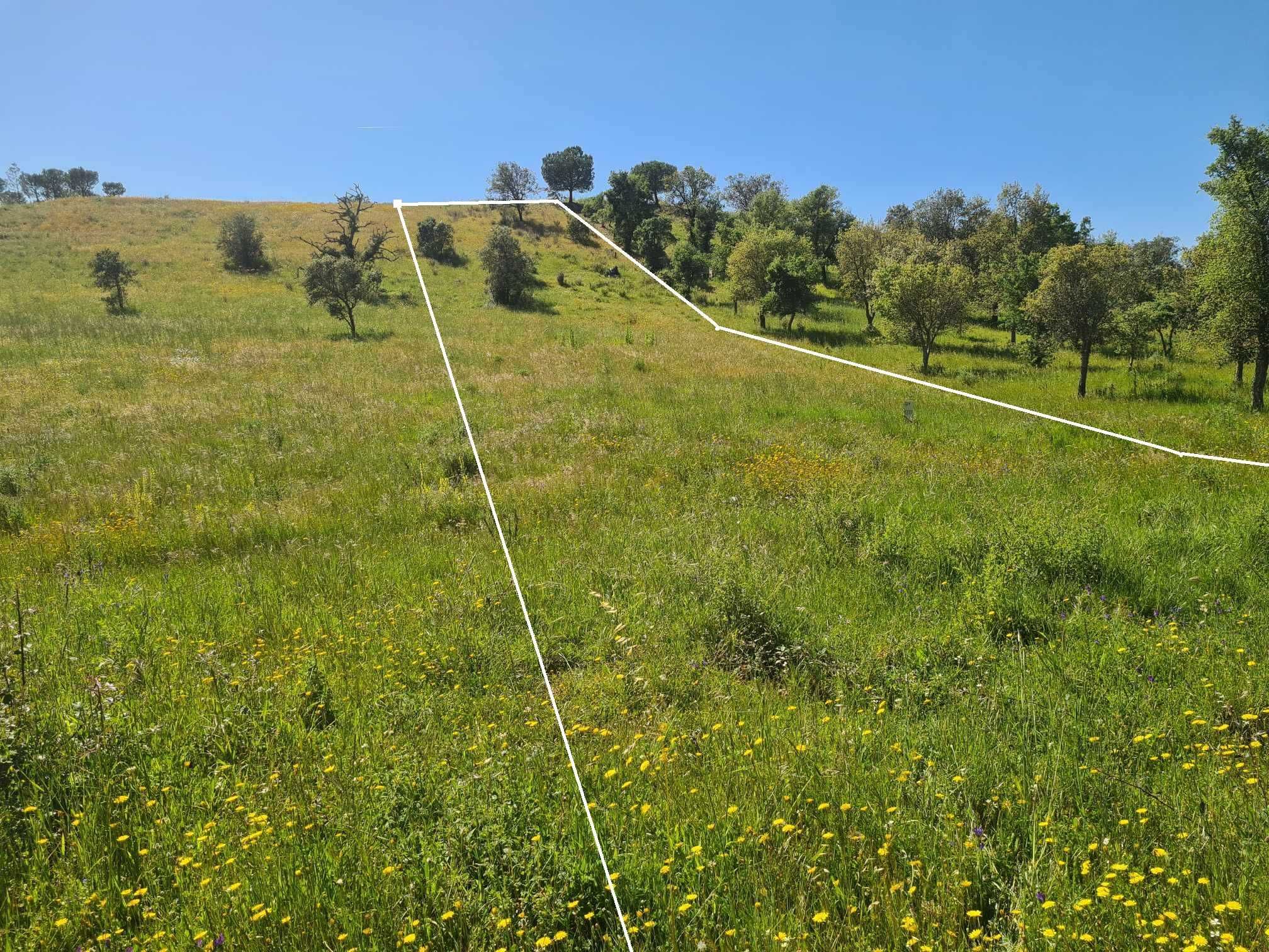 terreno agrícola Algarve ( Messines, perna seca)