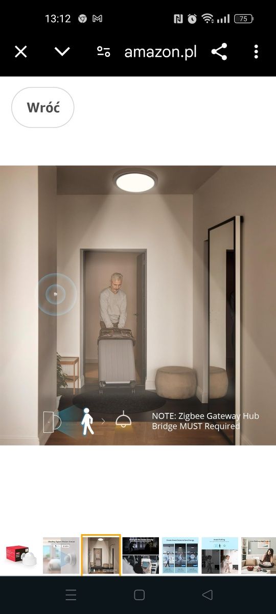 WOOLLEY ZigBee czujnik ruchu, bezprzewodowy czujnik ruchu,