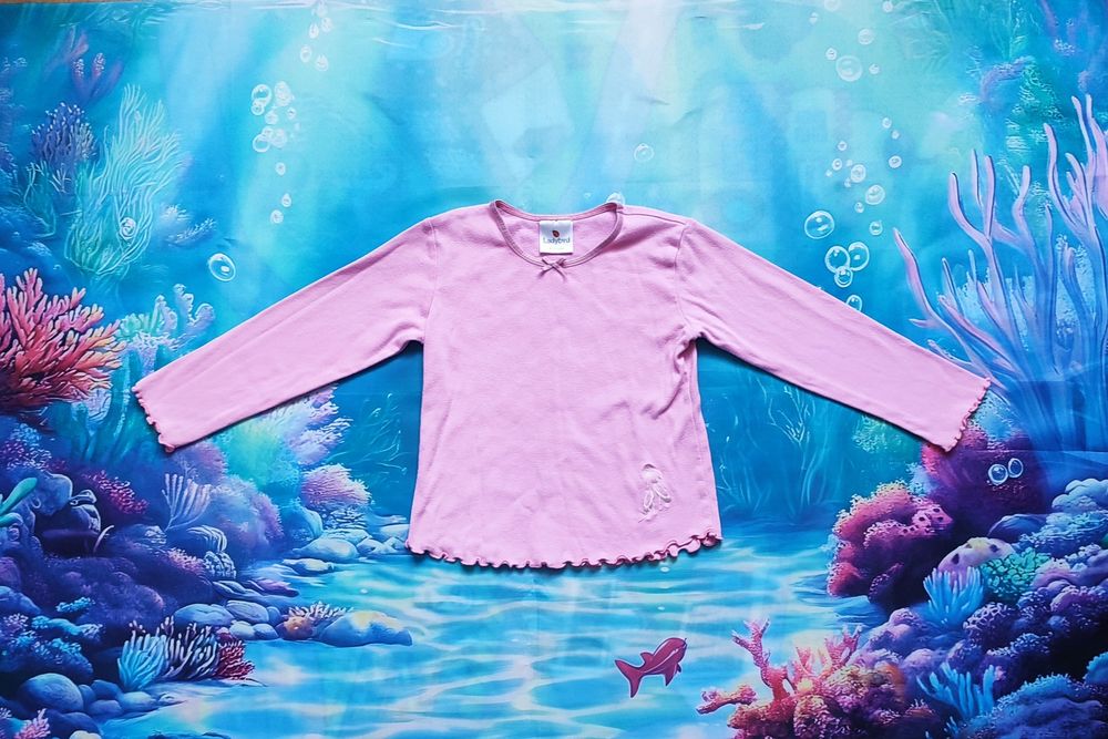 Bluza i 3 bluzeczki koszulki z długim rękawem r. 110