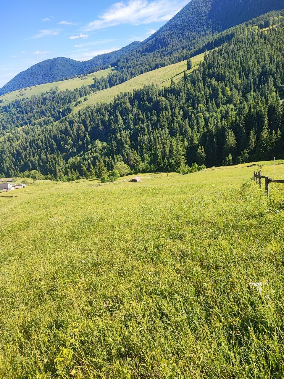 Земля с краєвидом, 56 соток по низькій ціні