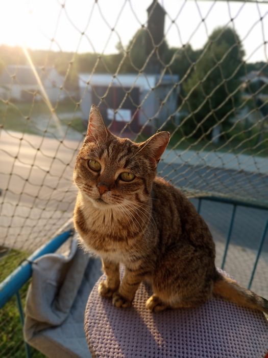 Marysia w poszukiwaniach swojego człowieka