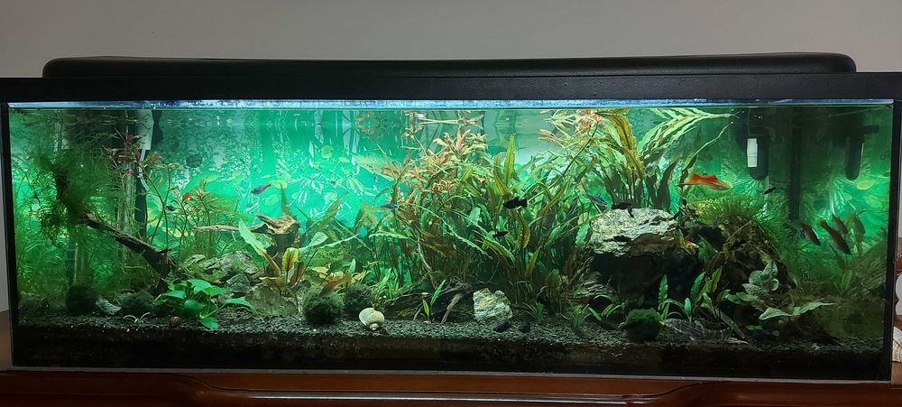 Akwarium 200l.  Wymiary 120x40x40.