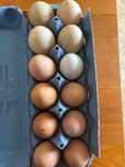 Venda de ovos galinhas, galos e pintos