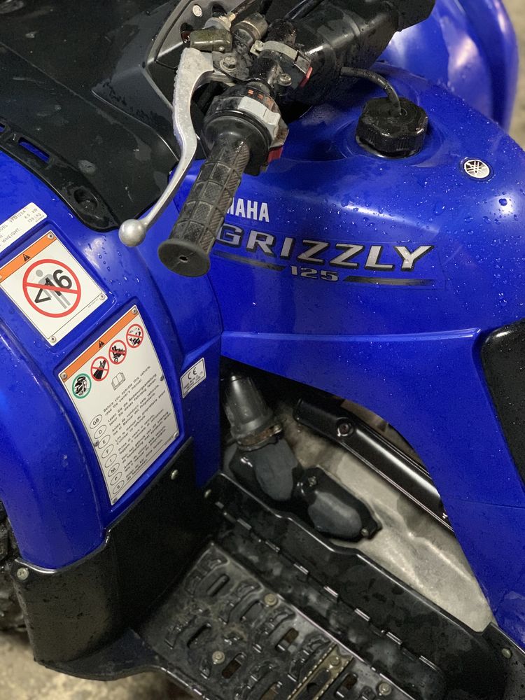 Yamaha grizzly 125cc moto4 matriculada