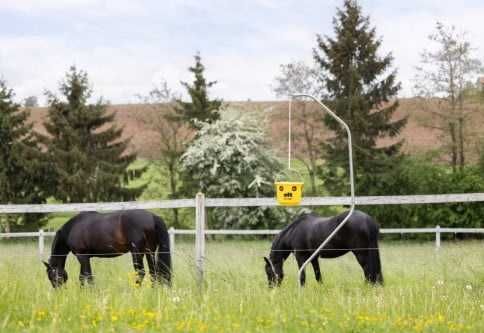 Pułapka na muchy FlyCage6, z atraktantem 200 g, Cit