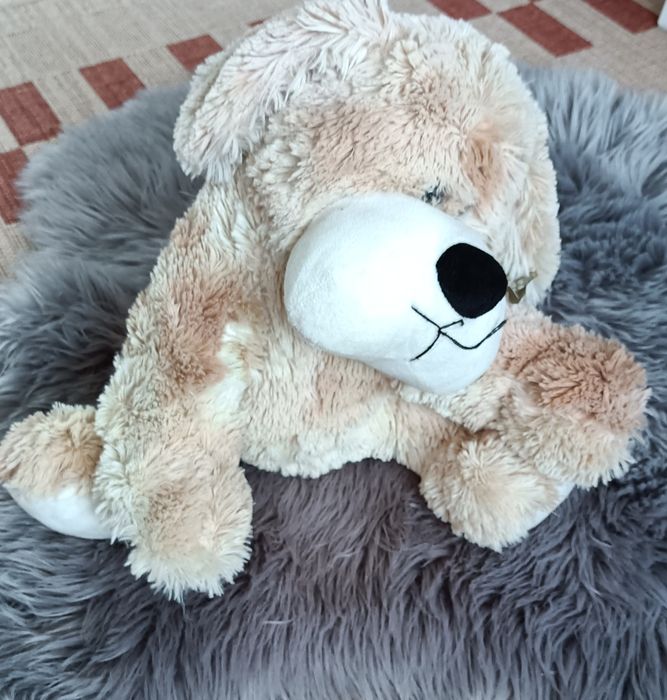 Maskotka, miś, piesek, duża