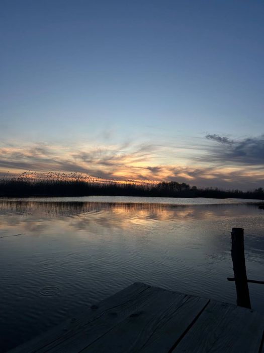 Оренда будинку (база відпочинку) In wood
