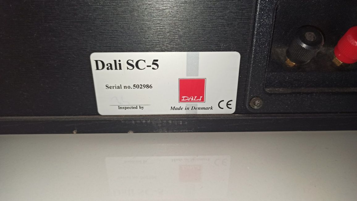 Dali SC- Kolumna centralna