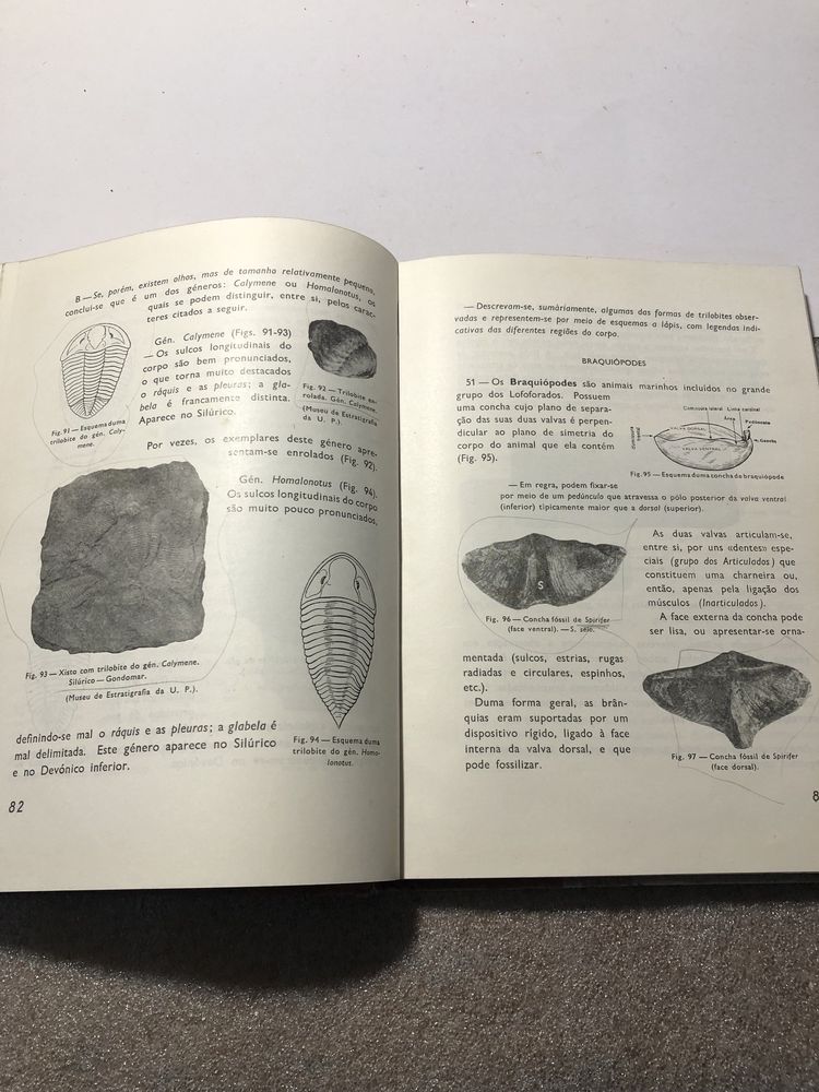 Livro antigo de trabalhos práticos de ciências naturais