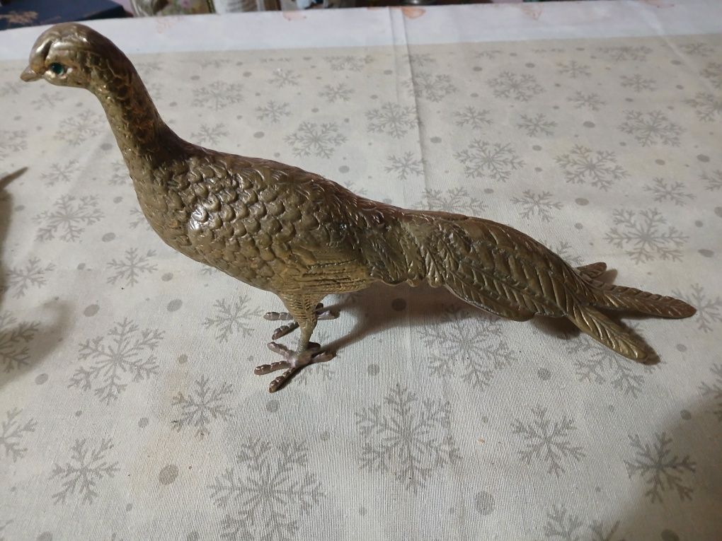 Vendo um conjunto  de faisões