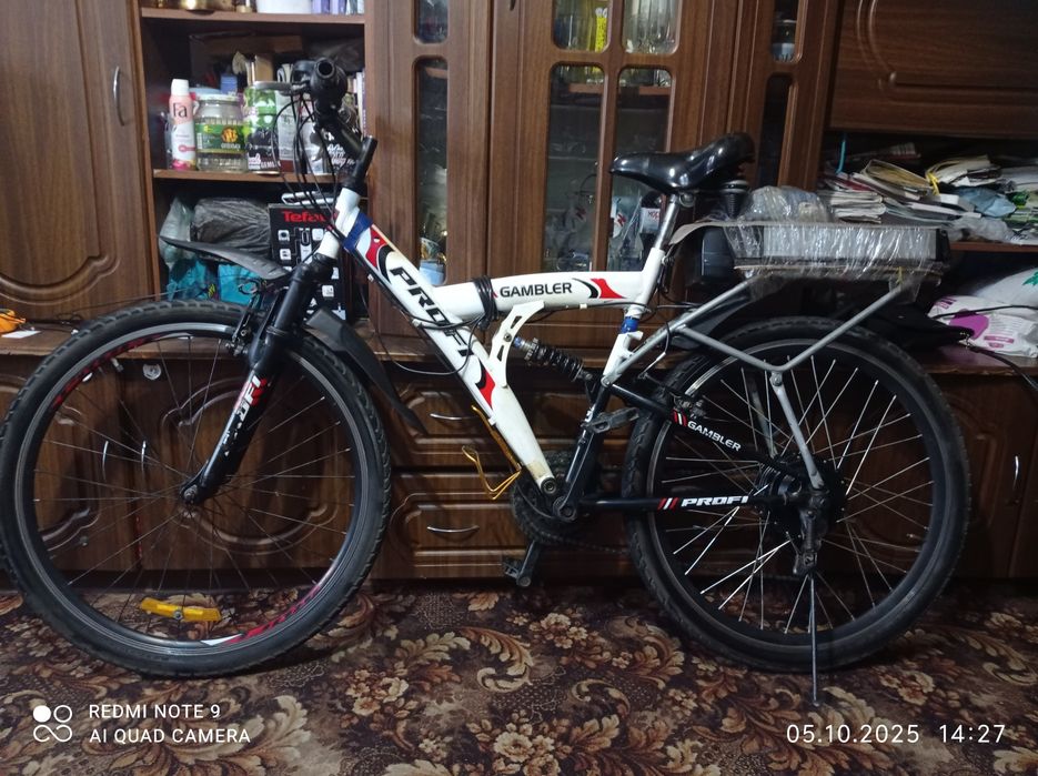 Электровелосипед PROFI GAMBLER.