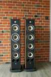 Focal Aria 936 w kolorze walnut