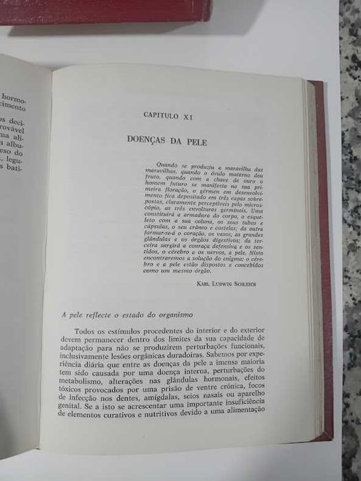 2 Livros de Saúde Tratamentos Naturais e Saúde Pelos Alimentos