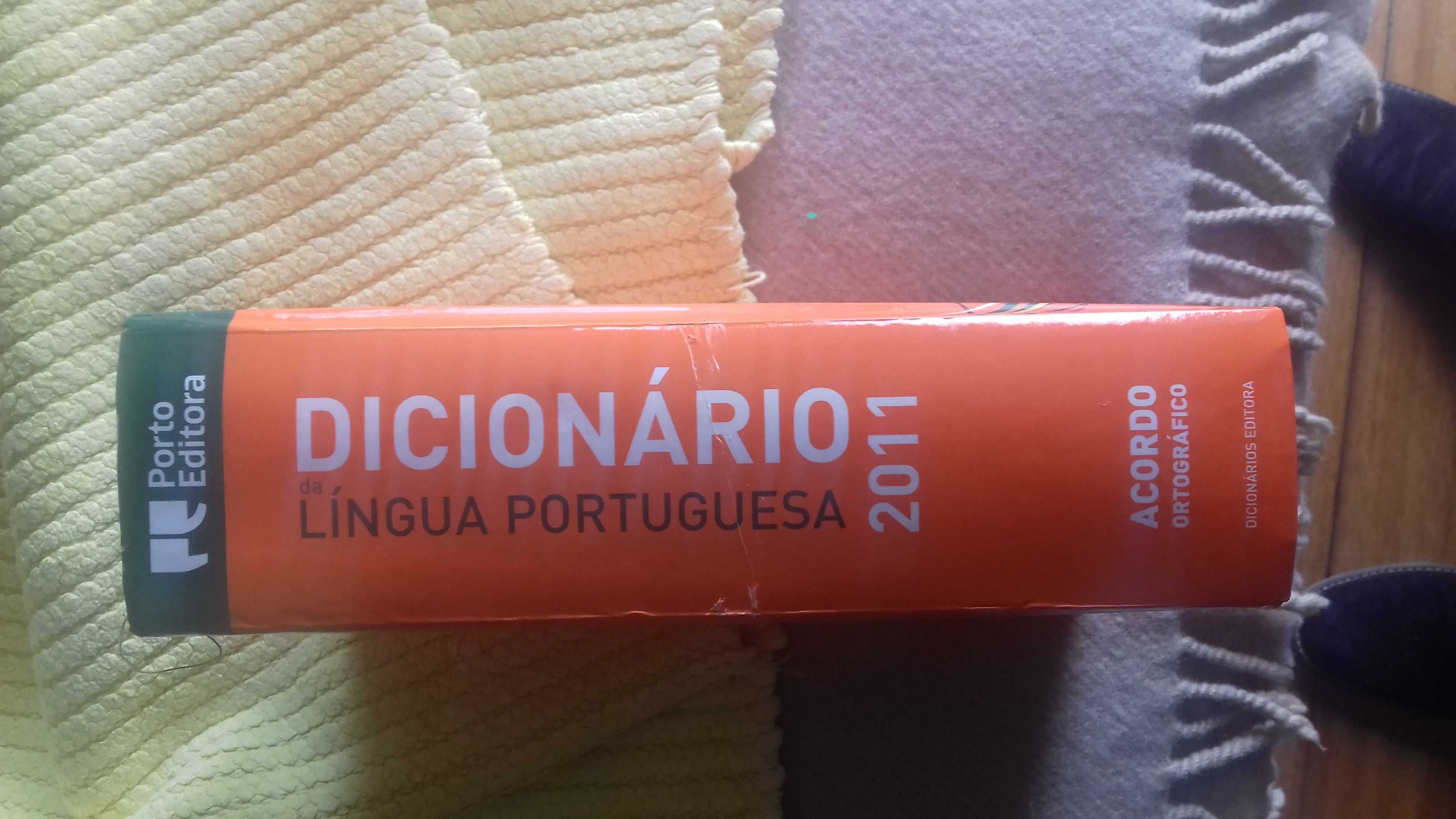 Dicionário português