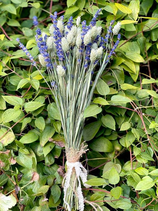 Букет з лаванди та зеленого фаляріса