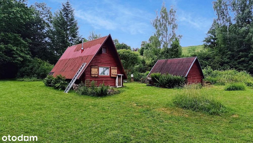 Pisary, dom letniskowy całoroczny, działka 2600 m2