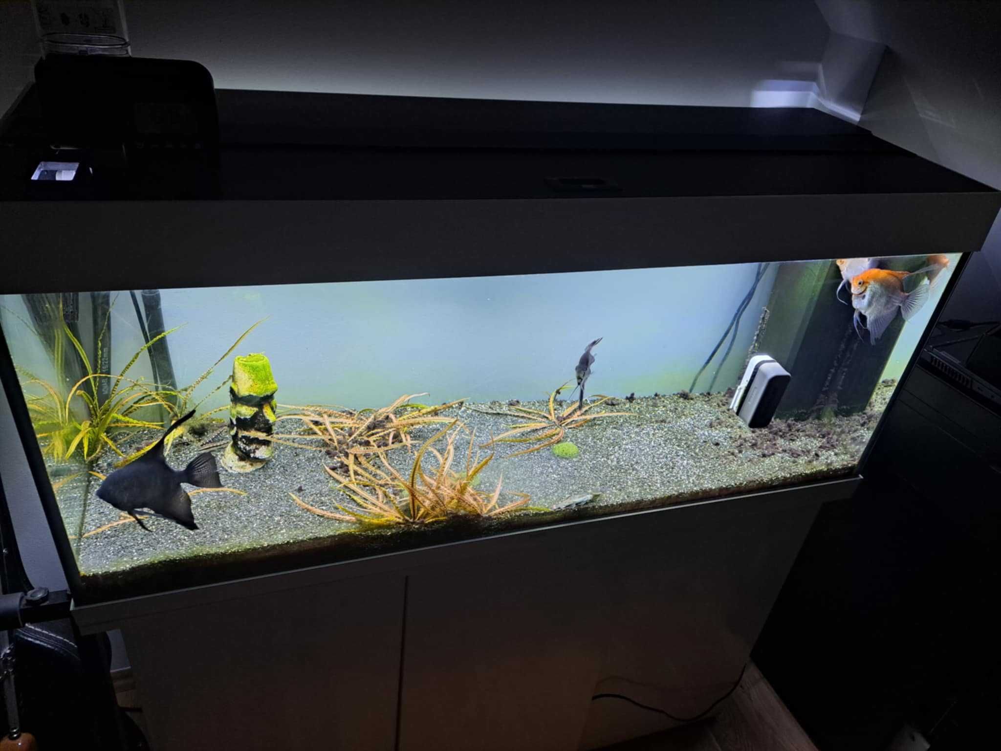 Akwarium 240L + zestaw (szafka, filtry, grzałka, smartfeed)