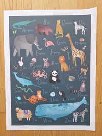 Plakat dla dziecka 30x40 cm alfabet zwierzęta