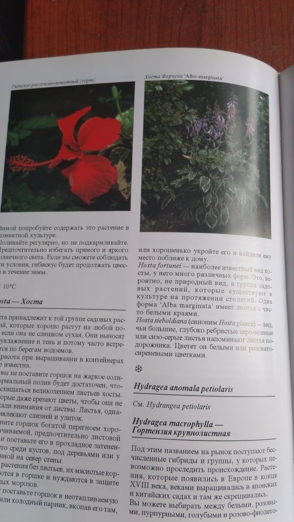 Енциклопедія кімнатних рослин.