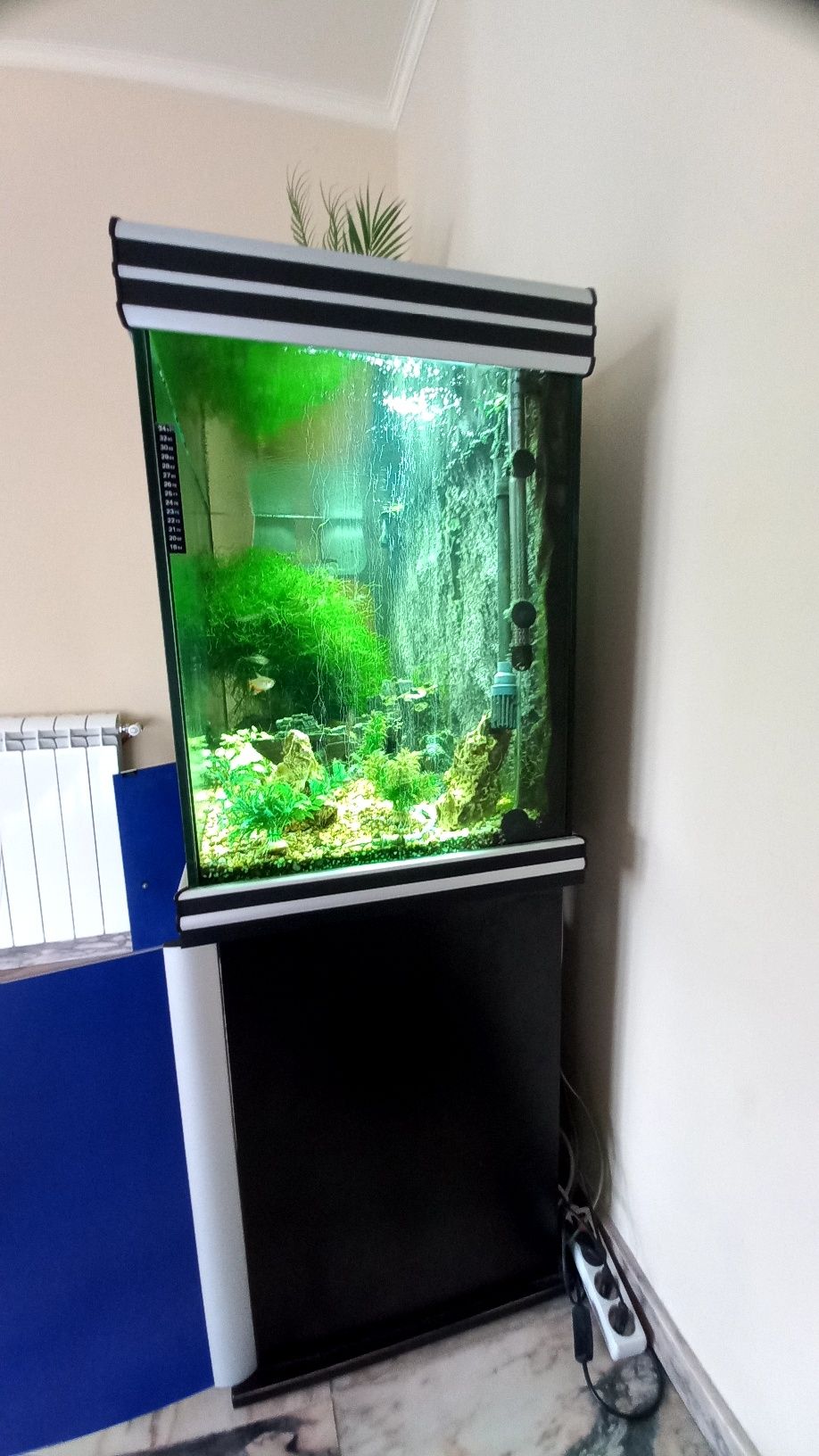 Vendo aquarium com acessorios.