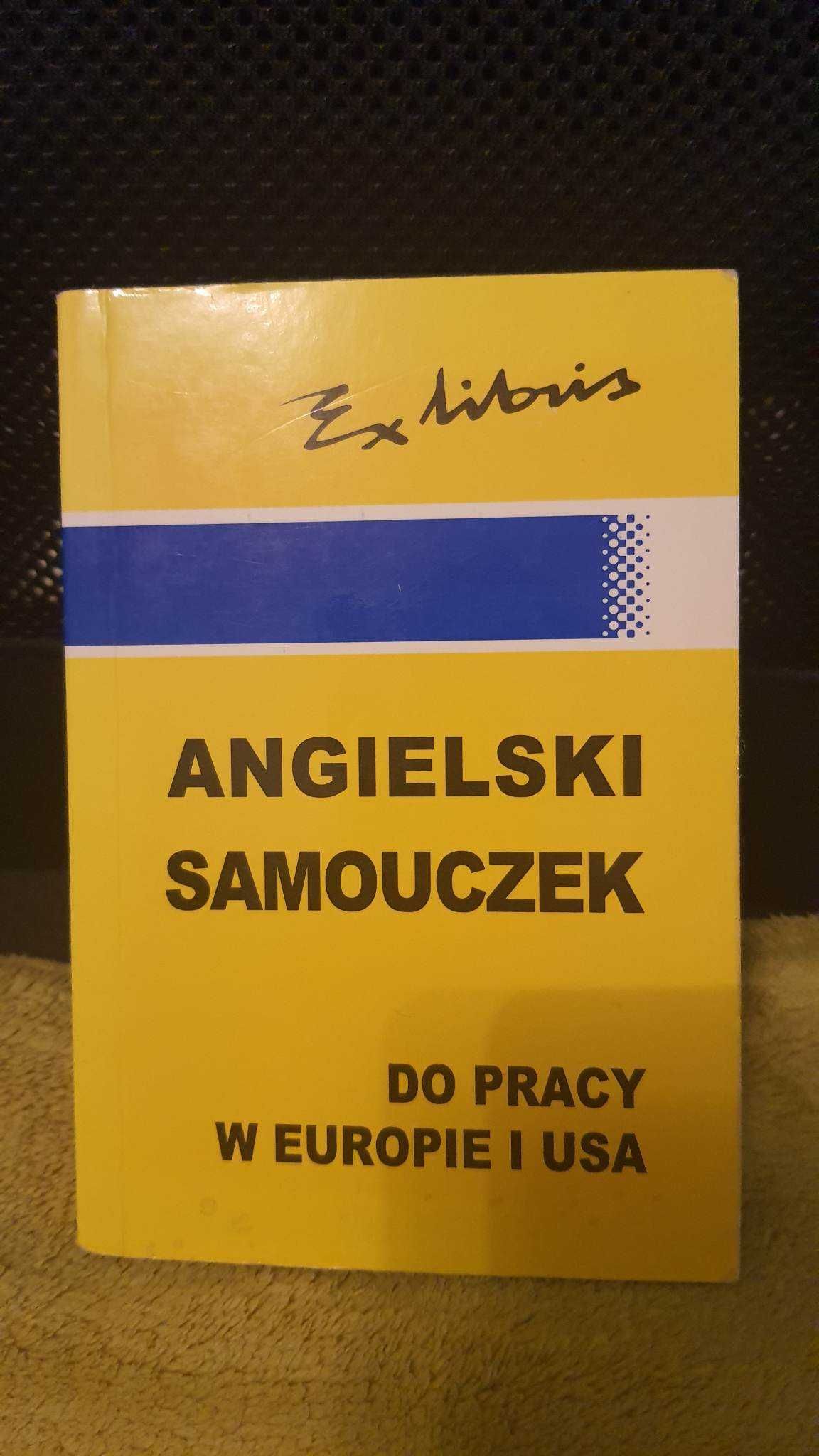 Angielski Samouczek do Pracy w Europie i USA Kałuża Jan Szlańczok I.