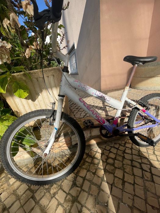 Bicicleta de criança - tamanho de roda 20’
