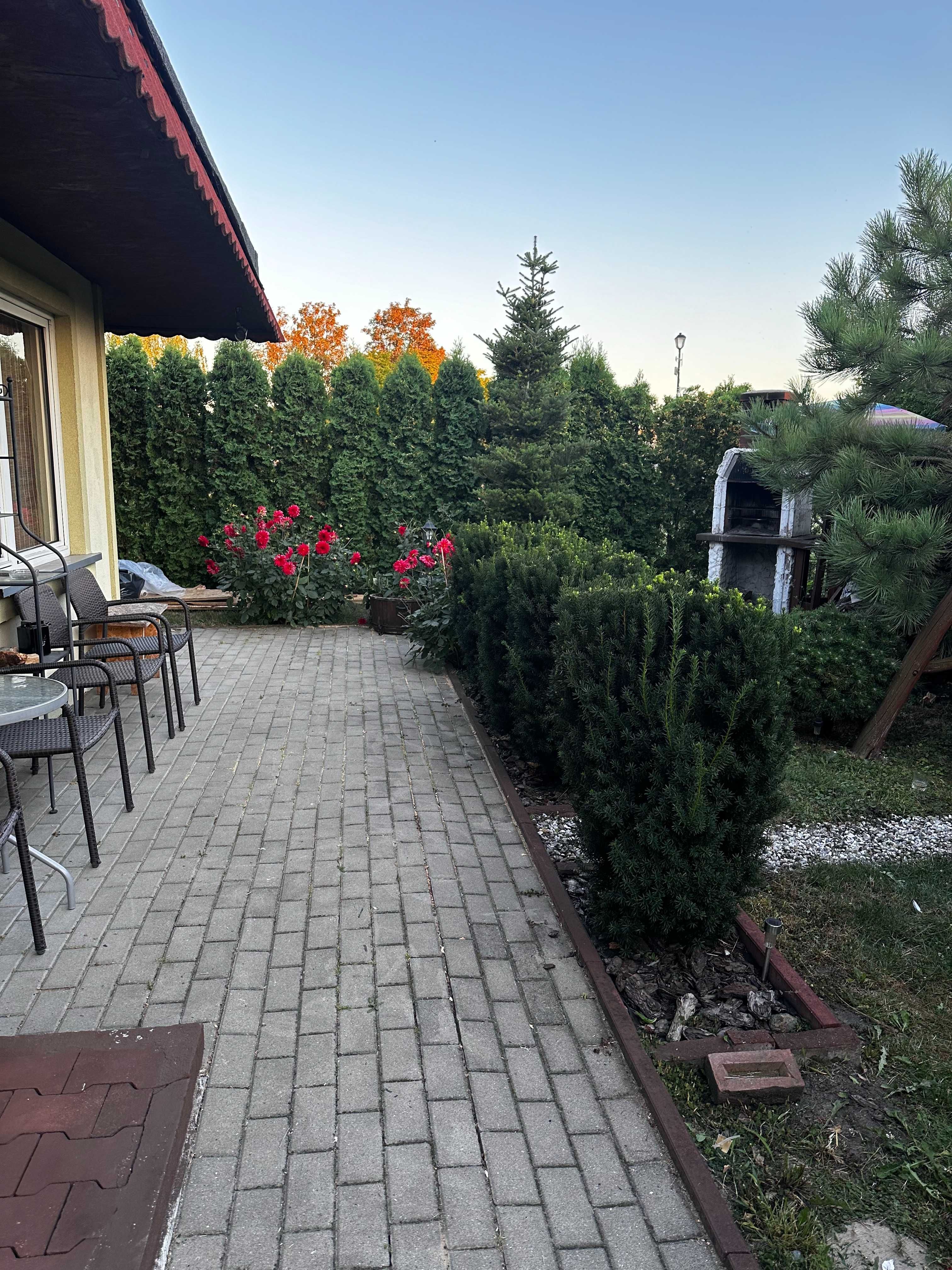 Działka ROD Wojska Polskiego CENTRUM
