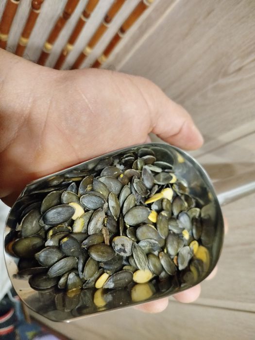 Голонасінне гарбузове насіння