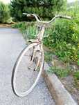 Bicicleta pasteleira Janette