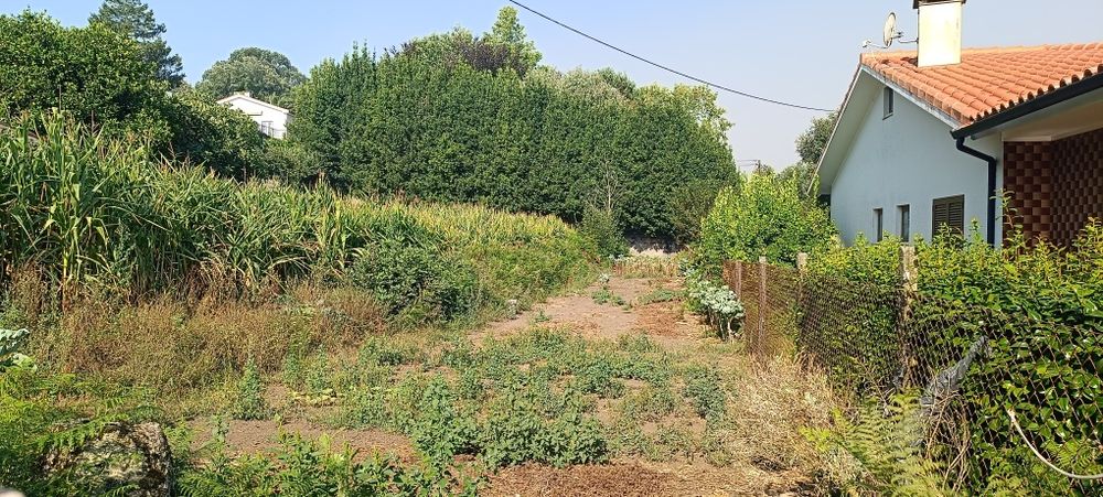 Terreno Urbano em Antas