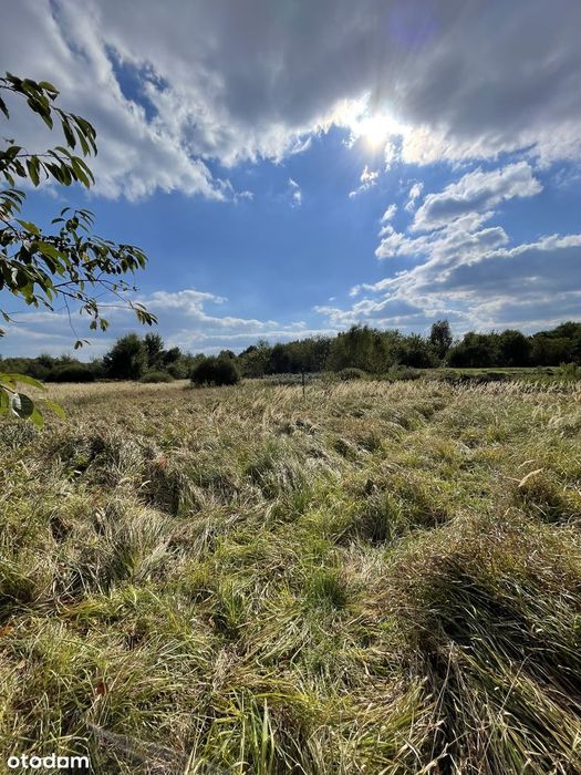 Działka 7025 m² blisko zalewu rybnickiego