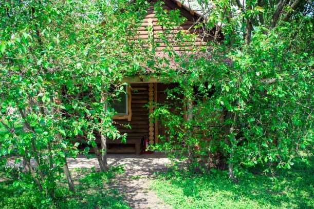 Оренда котеджiв для вiдпочинку в с.Прохорiвка Канiвського р-ну.