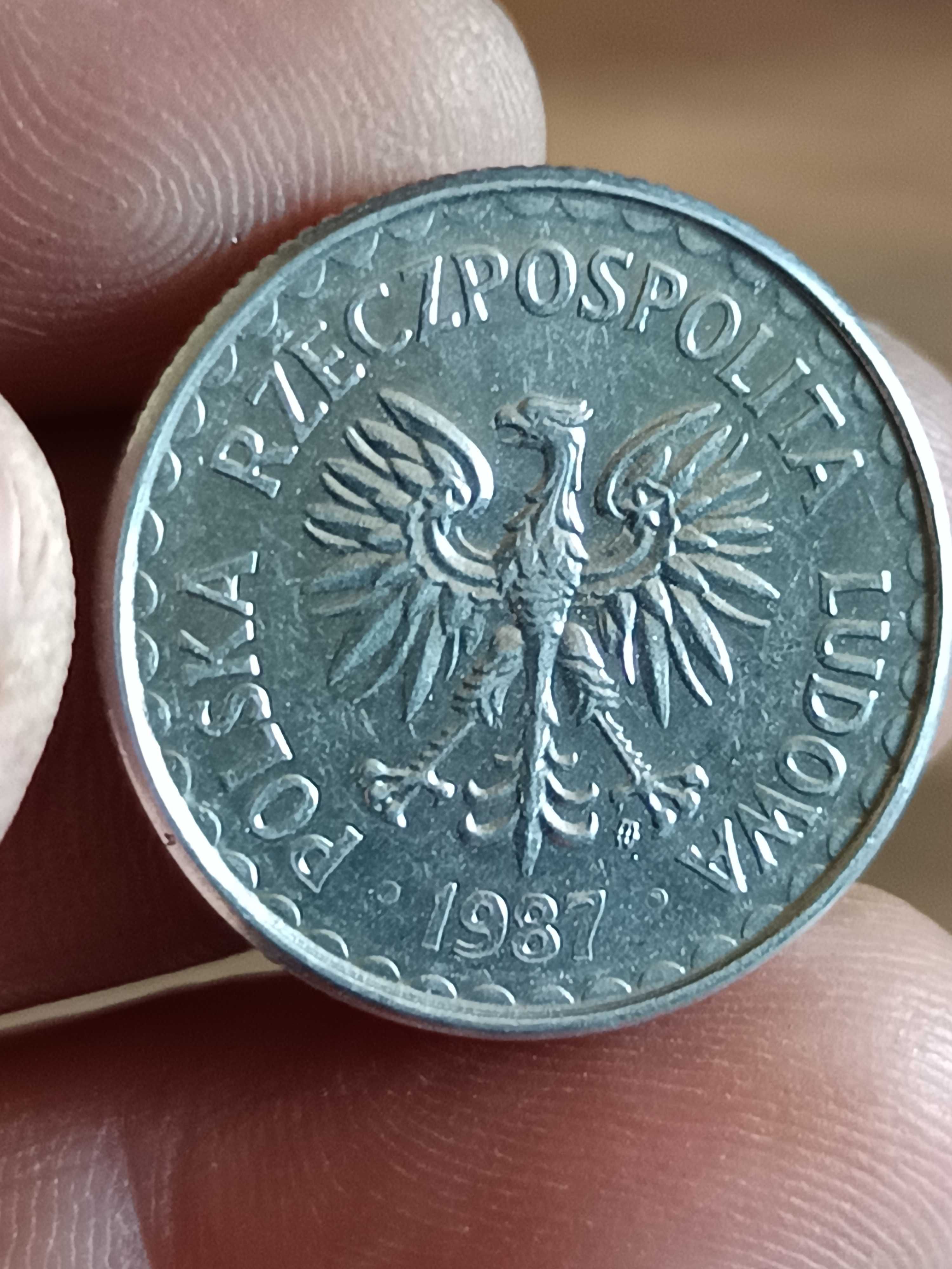 Sprzedam monetę 1 zloty 1987 rok