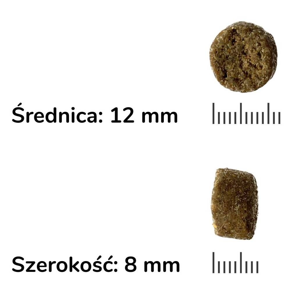 FIRSTMATE Friendly jagnięcina i owies 11,4 kg