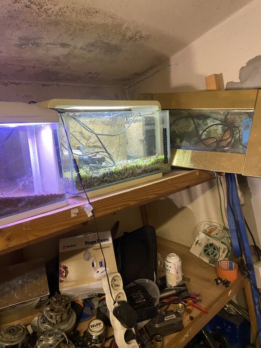 Akwaria na rybki z oswietleniem