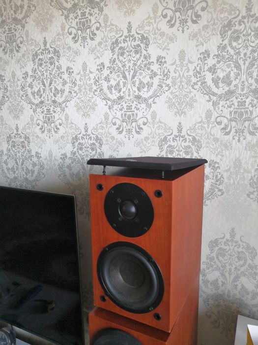 Полочная двухполосная шведская акустика DLS R50