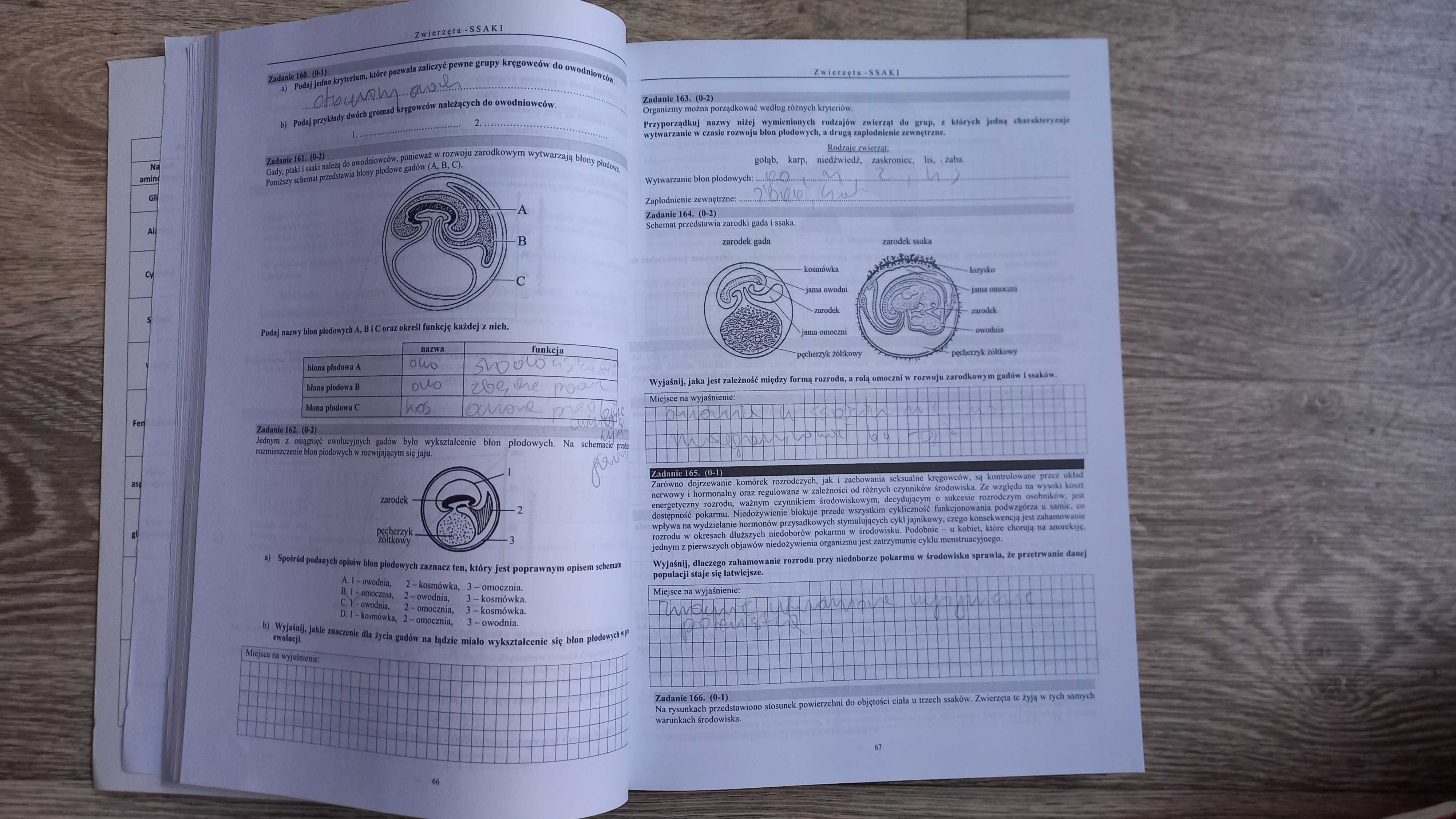 Zbiór zadań WITOWSKI biologia tom 3