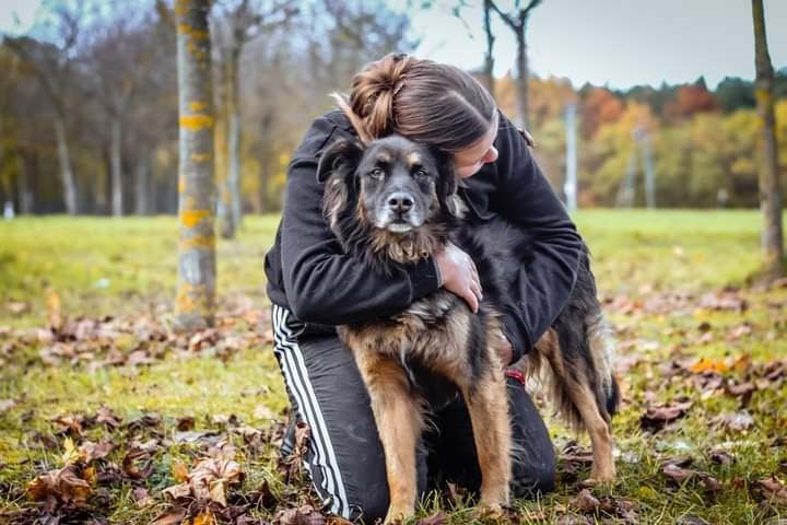 Bezproblemowy Clyde czeka za kratami na swojego człowieka! Adoptuj!