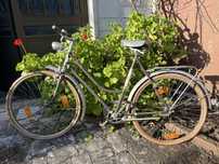 Bicicleta classica unisexo - estilo vintage