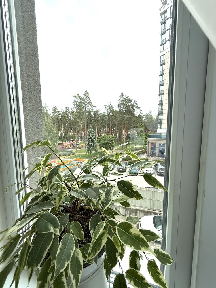 Оренда 1к. Центральний парк, м. Ірпінь