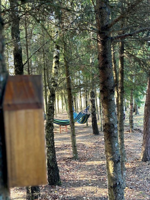 Dom na wynajem mazurskie energie